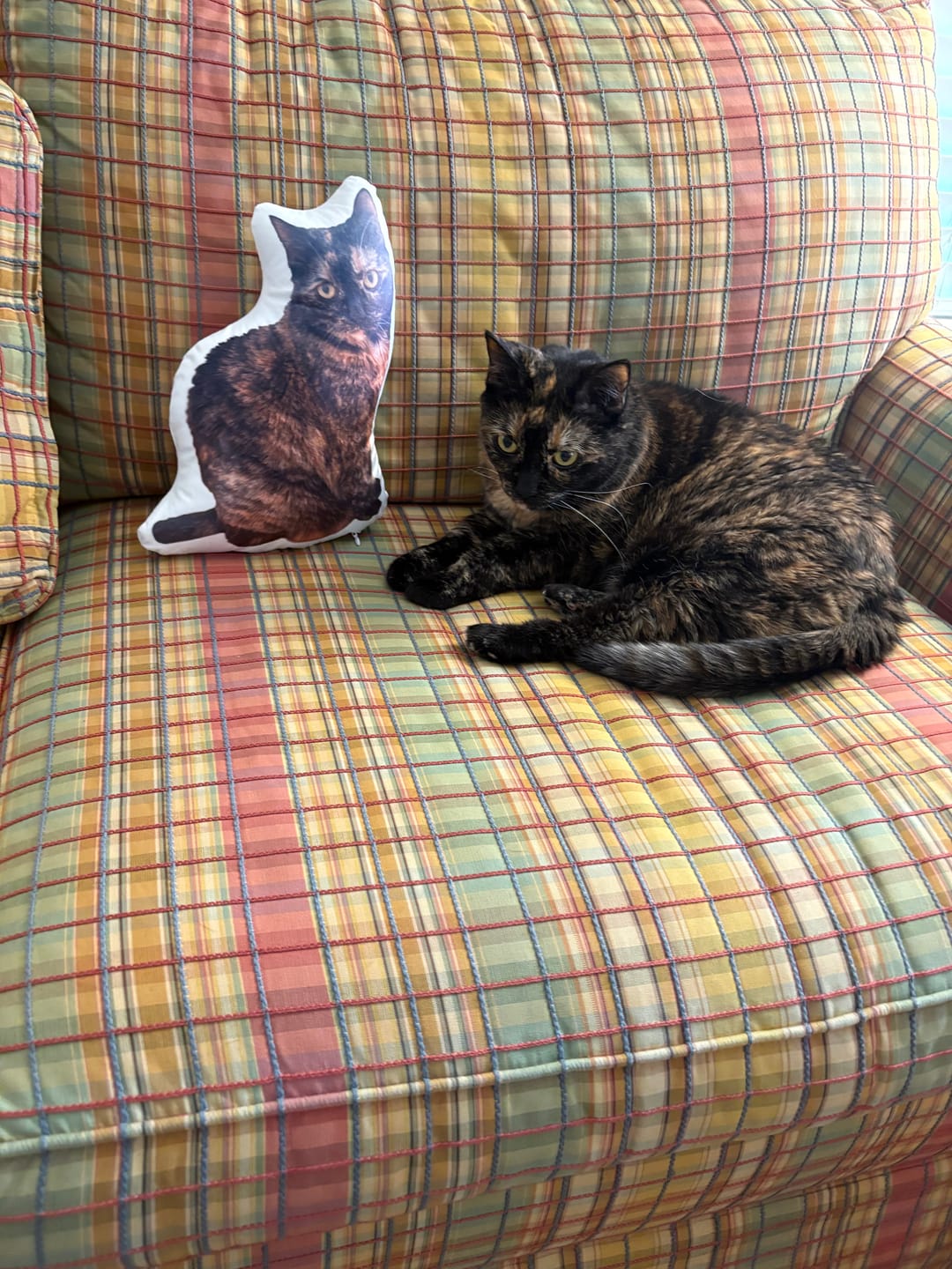 Customer photo review of Custom Pet Shaped Pillow that Look Like your Pet - ThePetPillow