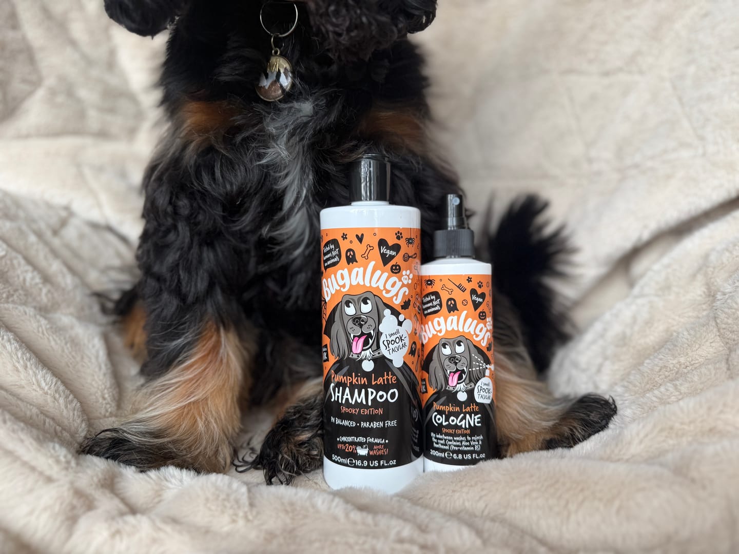 Customer photo review of Spooky Edition: Pumpkin Latte Bundle (Shampoo + Cologne)