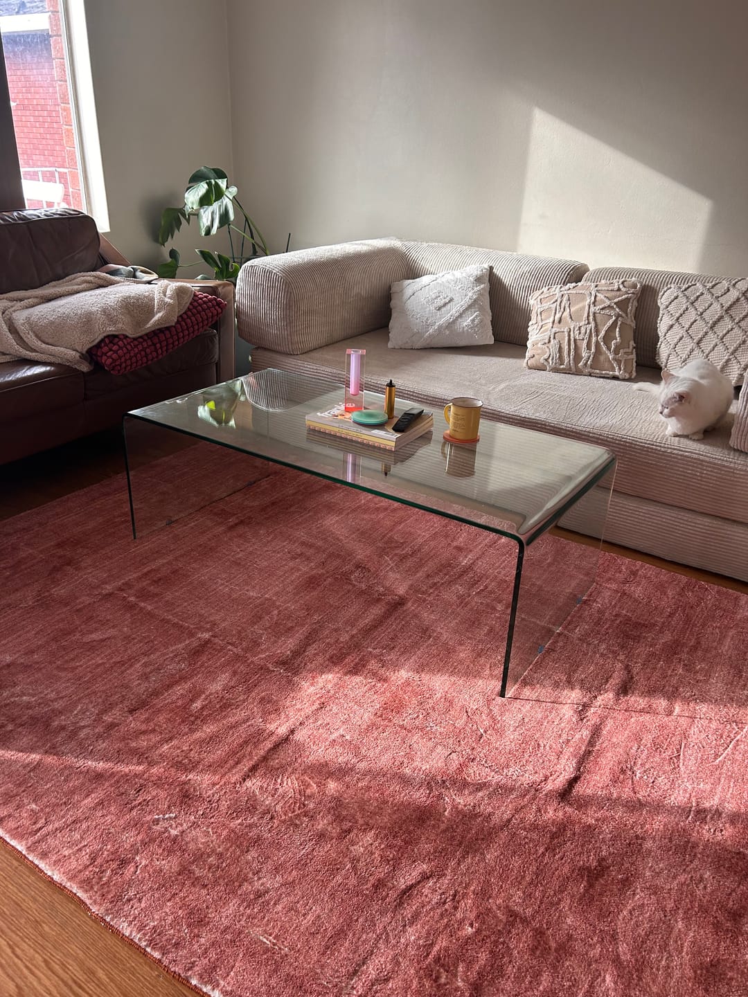 Customer photo review of Nova Sofa Bed-Eggshell