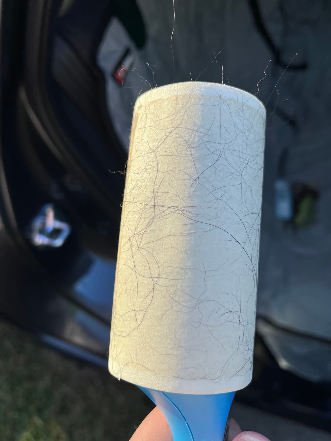 Customer photo review of Rear Seat Cover for Fold Down Seats - No Hammock - Regular