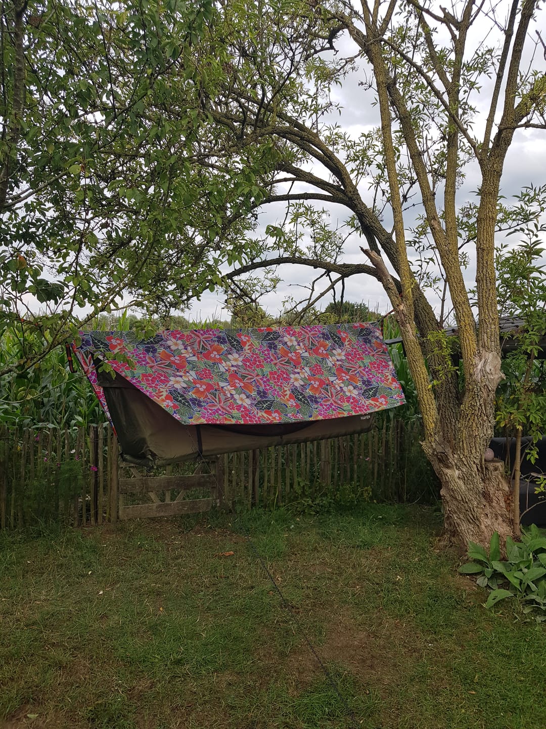 Customer photo review of Haven Tent