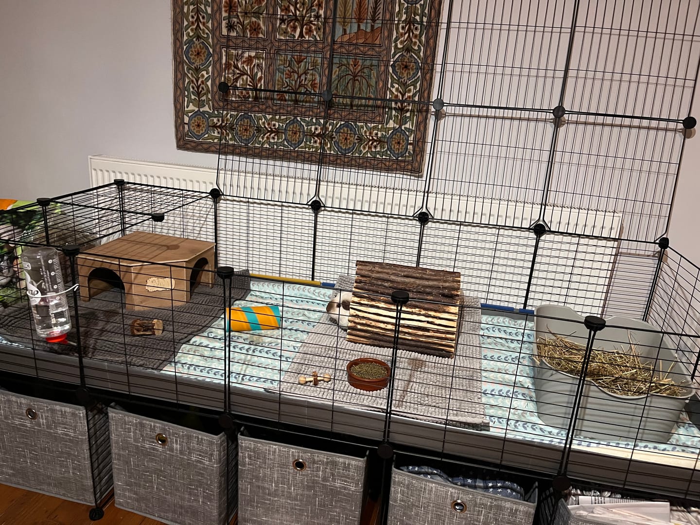 Customer photo review of 5x2 C&C Cage with Stand