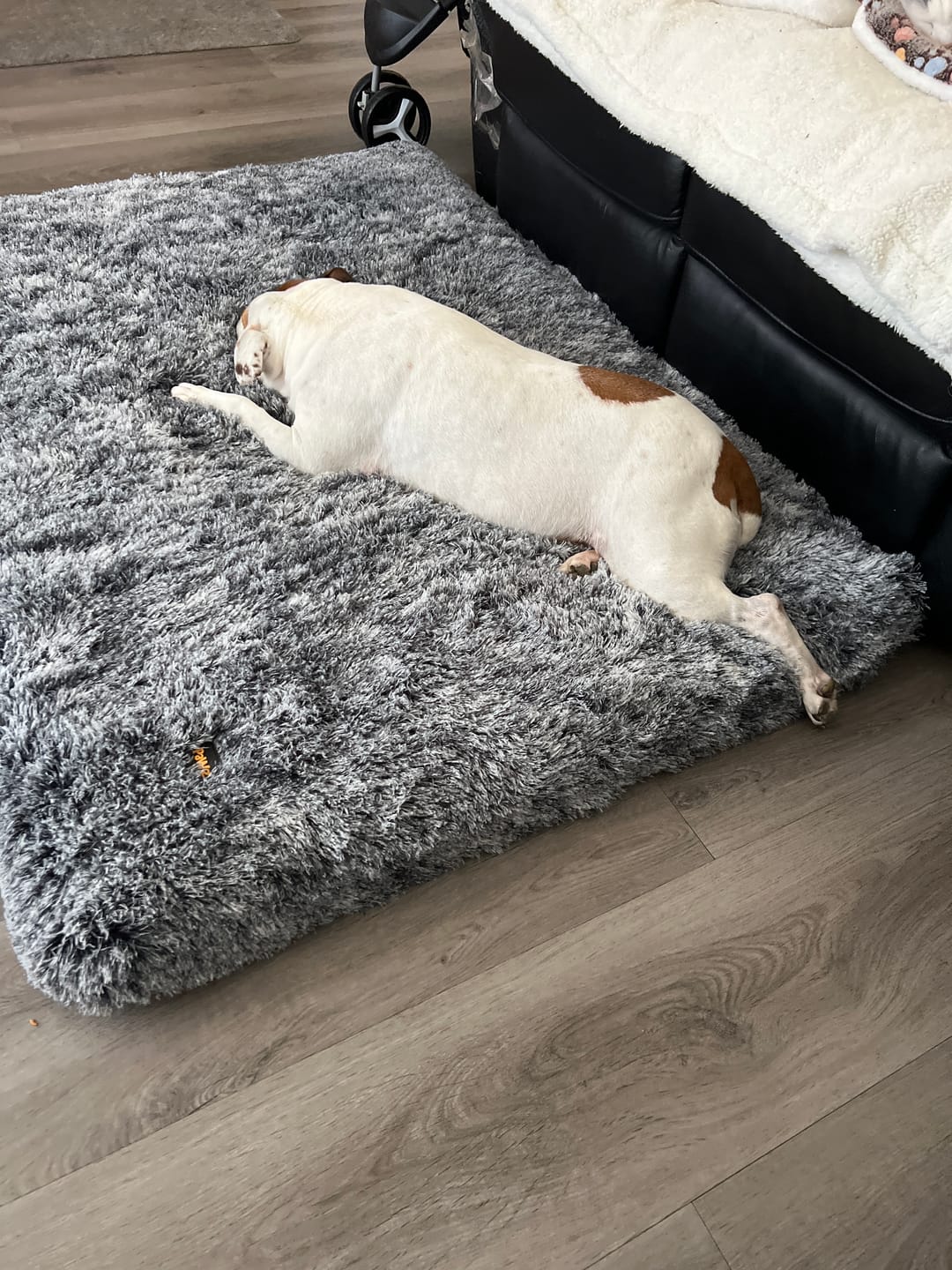 Customer photo review of Premium SuperMat Calming Bed