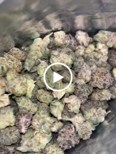 Customer video review of Value Indoor Smalls