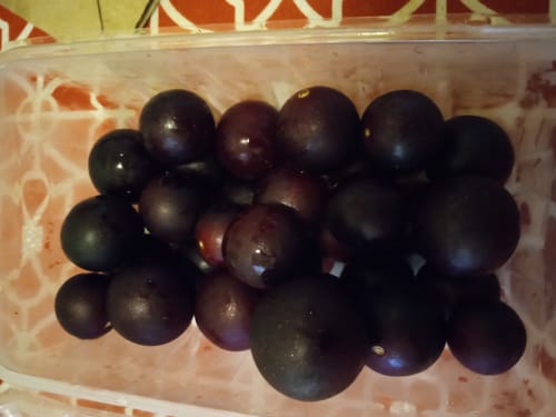Customer photo review of Grapes With Seed (Muscadine Red/Green)