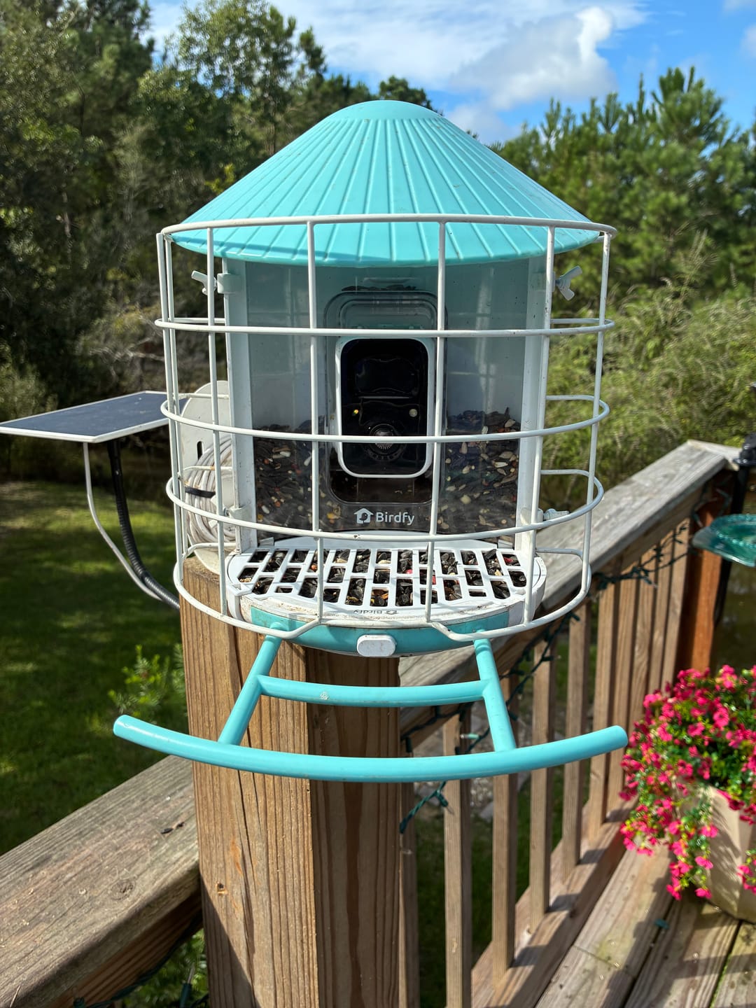 Customer photo review of Birdfy Bird Seed Guard