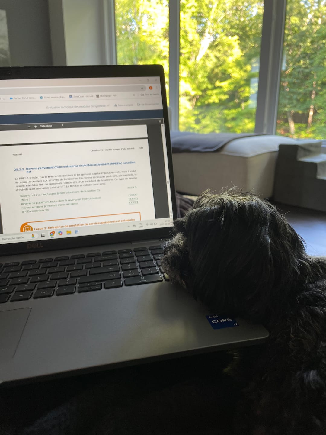Customer photo review of Vrac Nature's Own - Bâtonnets oesophage de boeuf pour chien
