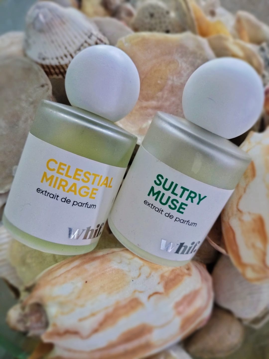 Customer photo review of Celestial Mirage
