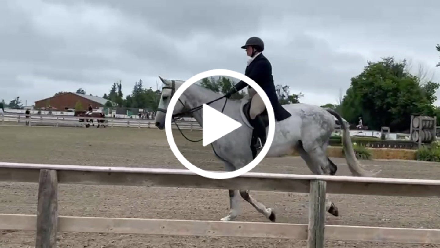 Customer video review of Contour Breech