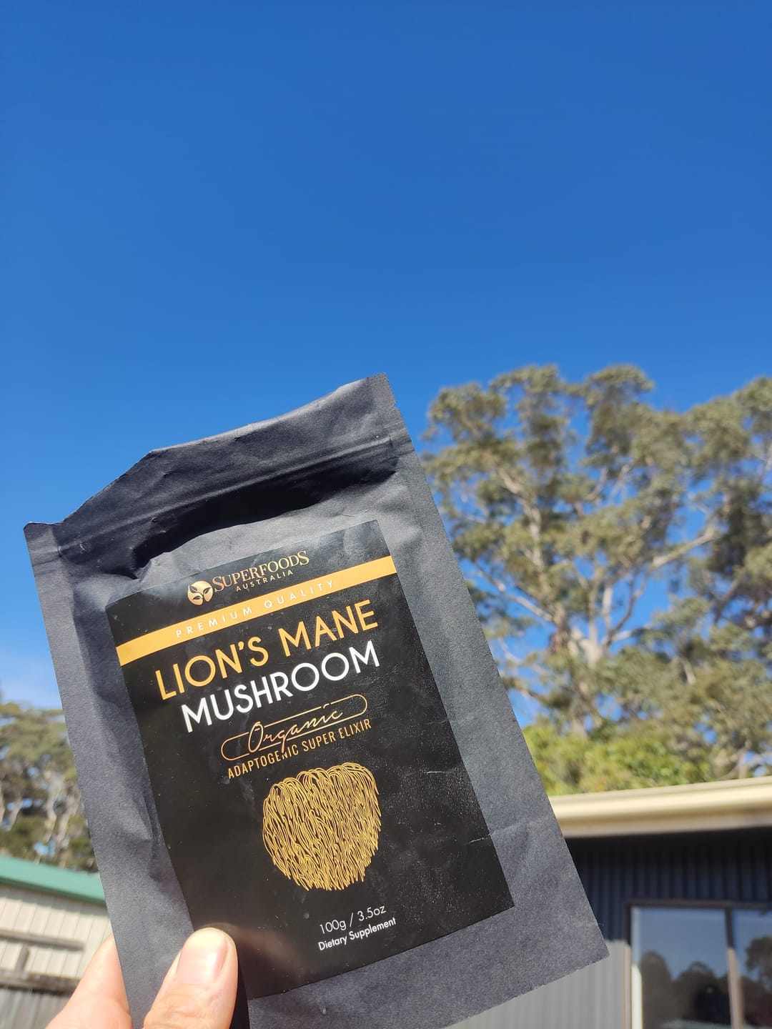 Customer photo review of Lion's Mane Mushroom Extract