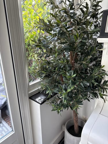 Customer photo review of Kunst Olijfboom 170cm Deluxe