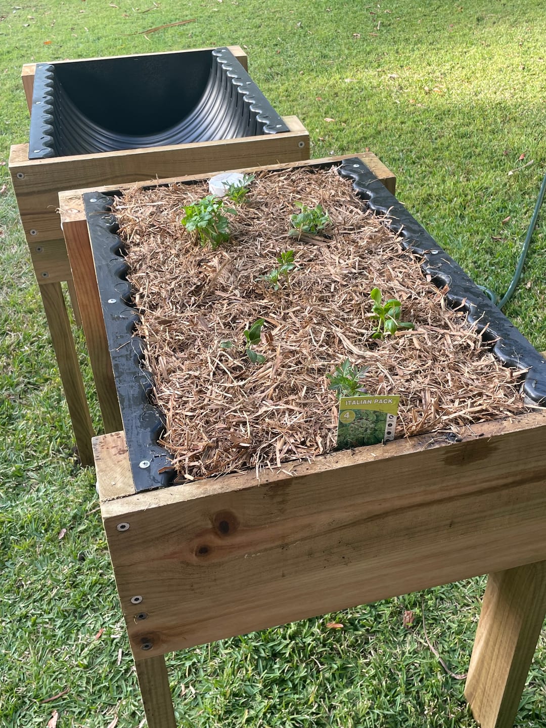 Customer photo review of COMPACT Raised Garden Bed on Legs - Timber 81x60x80cm(h)