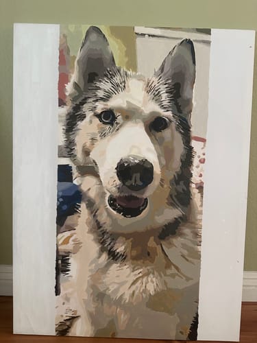 Customer photo review of Custom Paint by Numbers Kit for Personalized Artwork