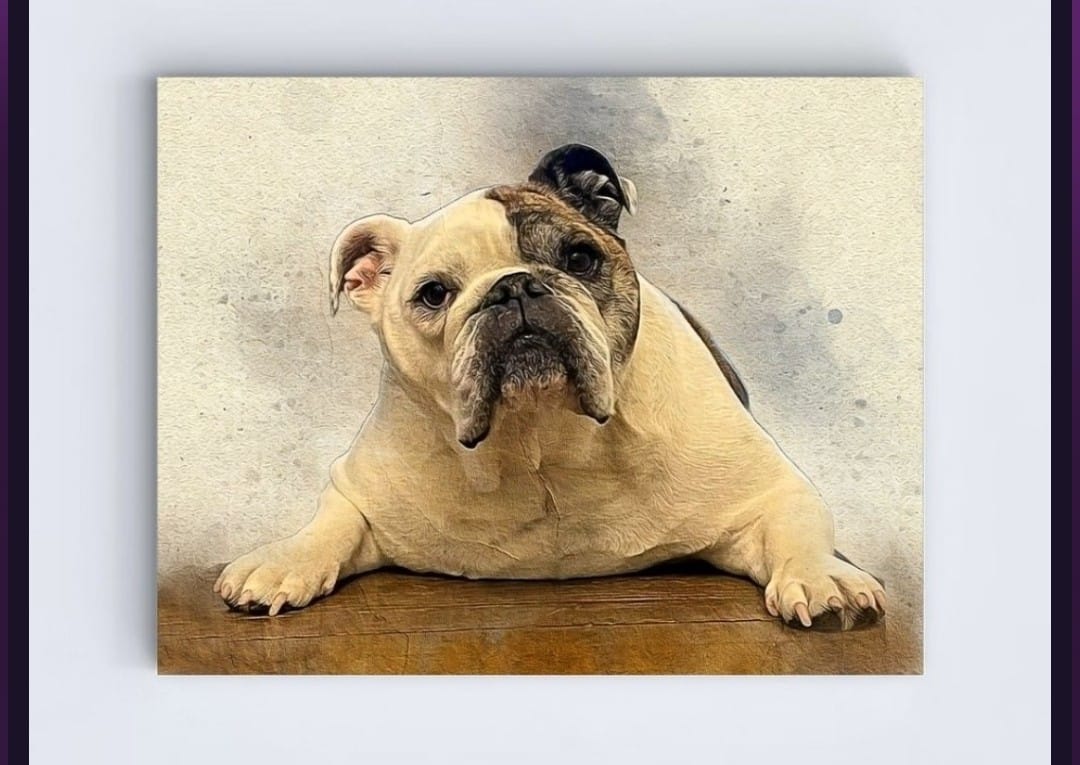Customer photo review of Personalized Pet portrait