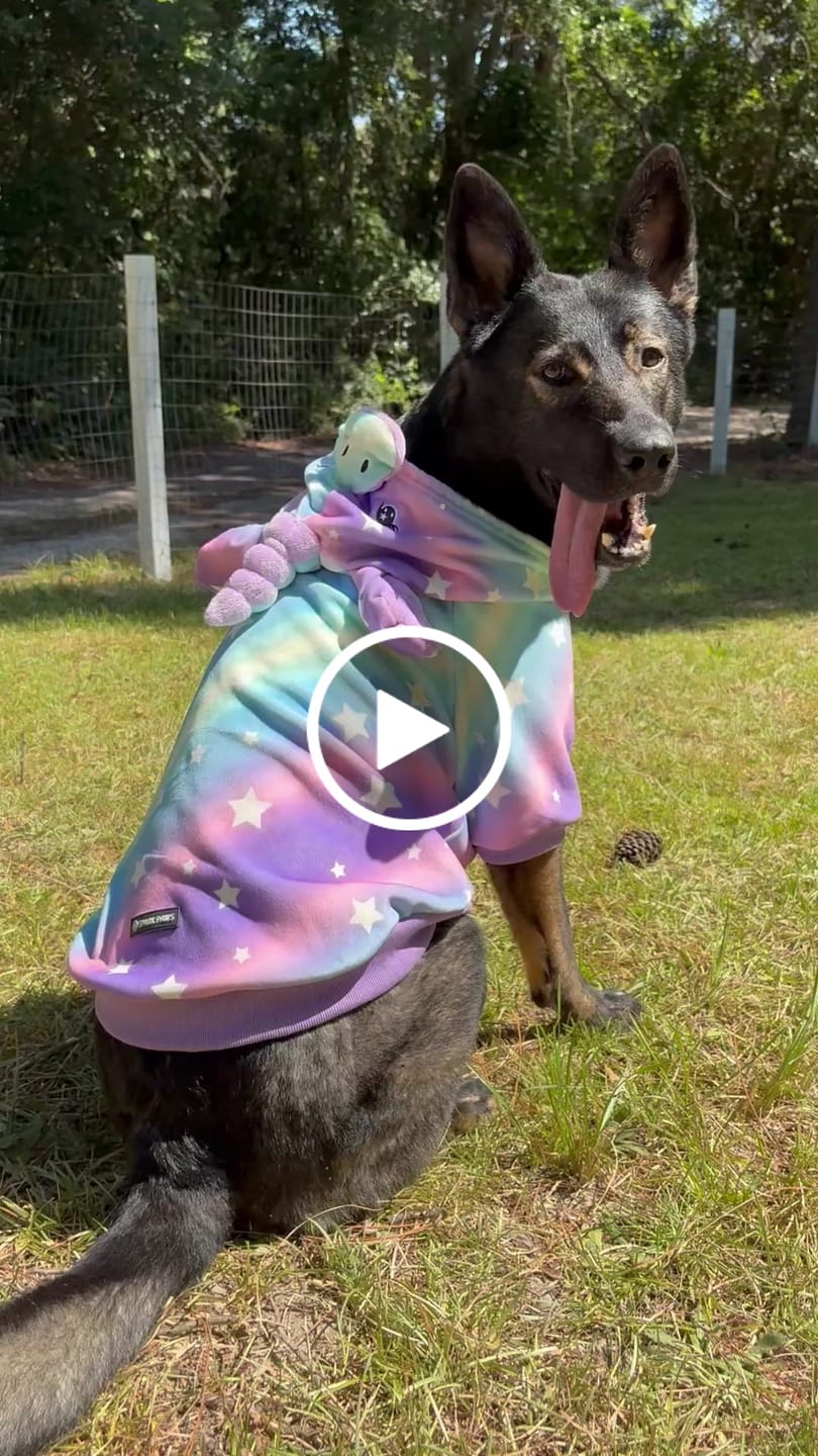 Customer video review of Halloween Dog Hoodie - Unicorn
