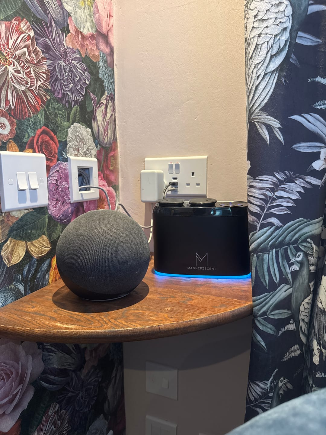 Customer photo review of ZenDuo - Dualhead Waterless Diffuser