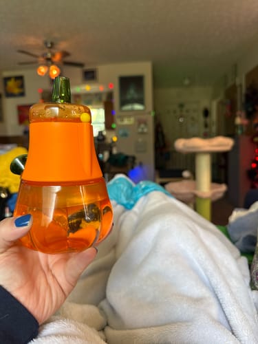 Customer photo review of The Bubbler - Pumpkin 🎃