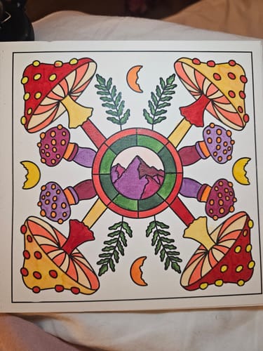 Customer photo review of ELEMENTOS (KIT DE LANZAMIENTO)