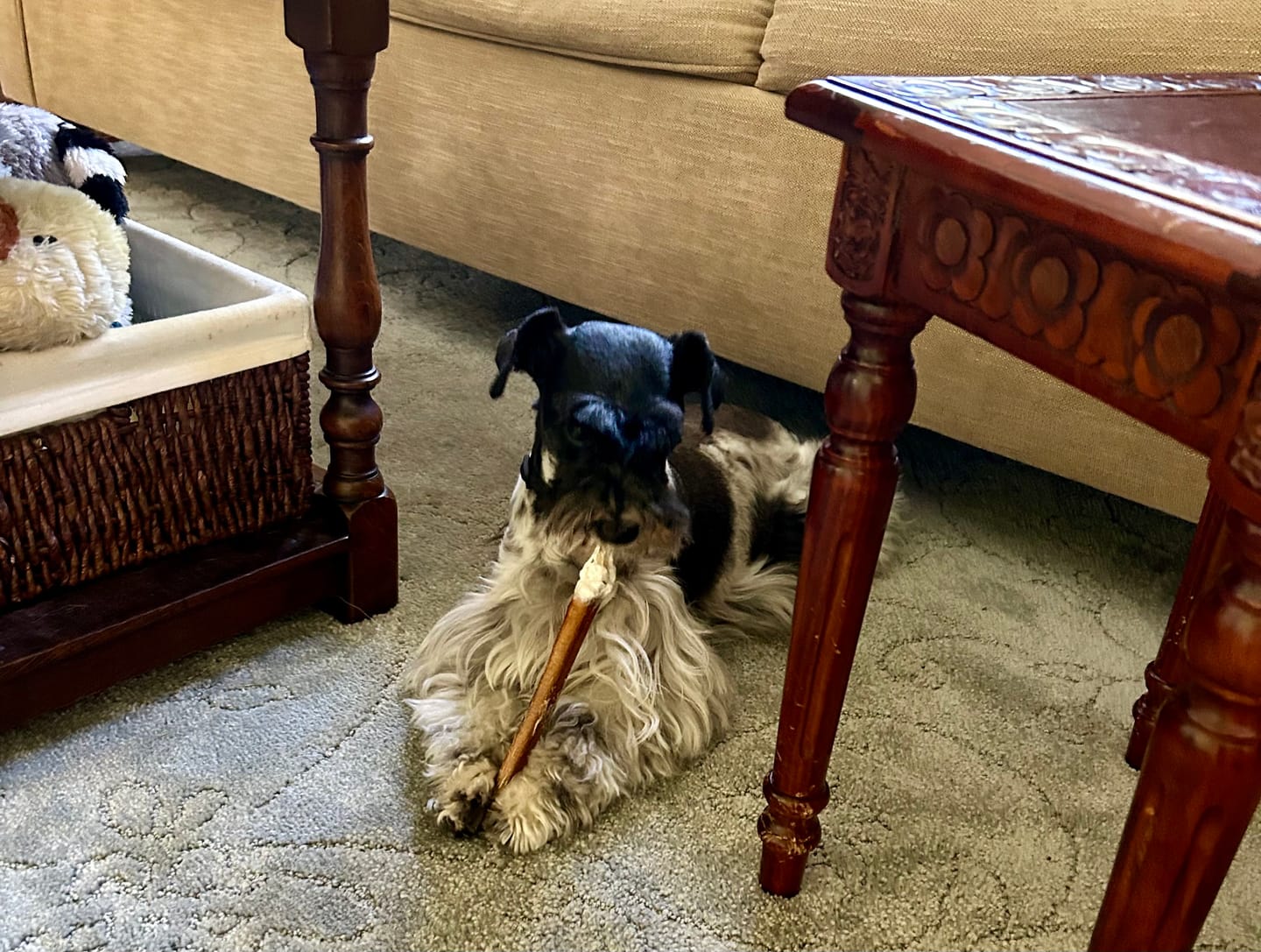 Customer photo review of Maplewood Smoked Bullys