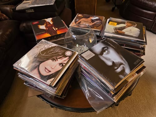 Customer photo review of Premium Vinyl Record Outer Sleeves