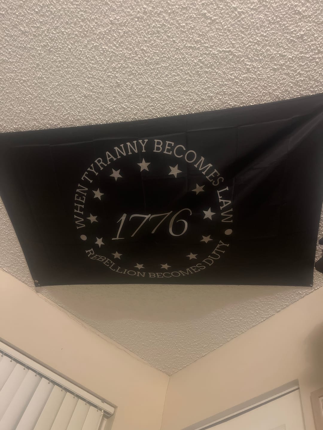 Customer photo review of When Tyranny Becomes Law Flag