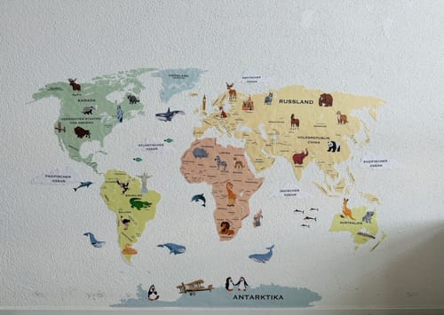 Customer photo review of World Map with Capitals
