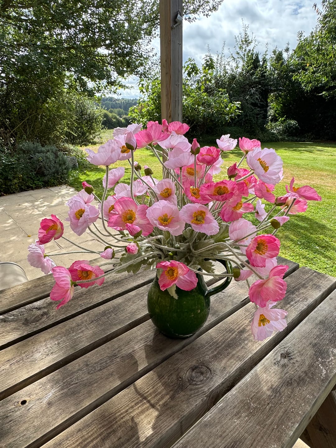 Customer photo review of Coquelicots - Mélange rose (10 tiges)