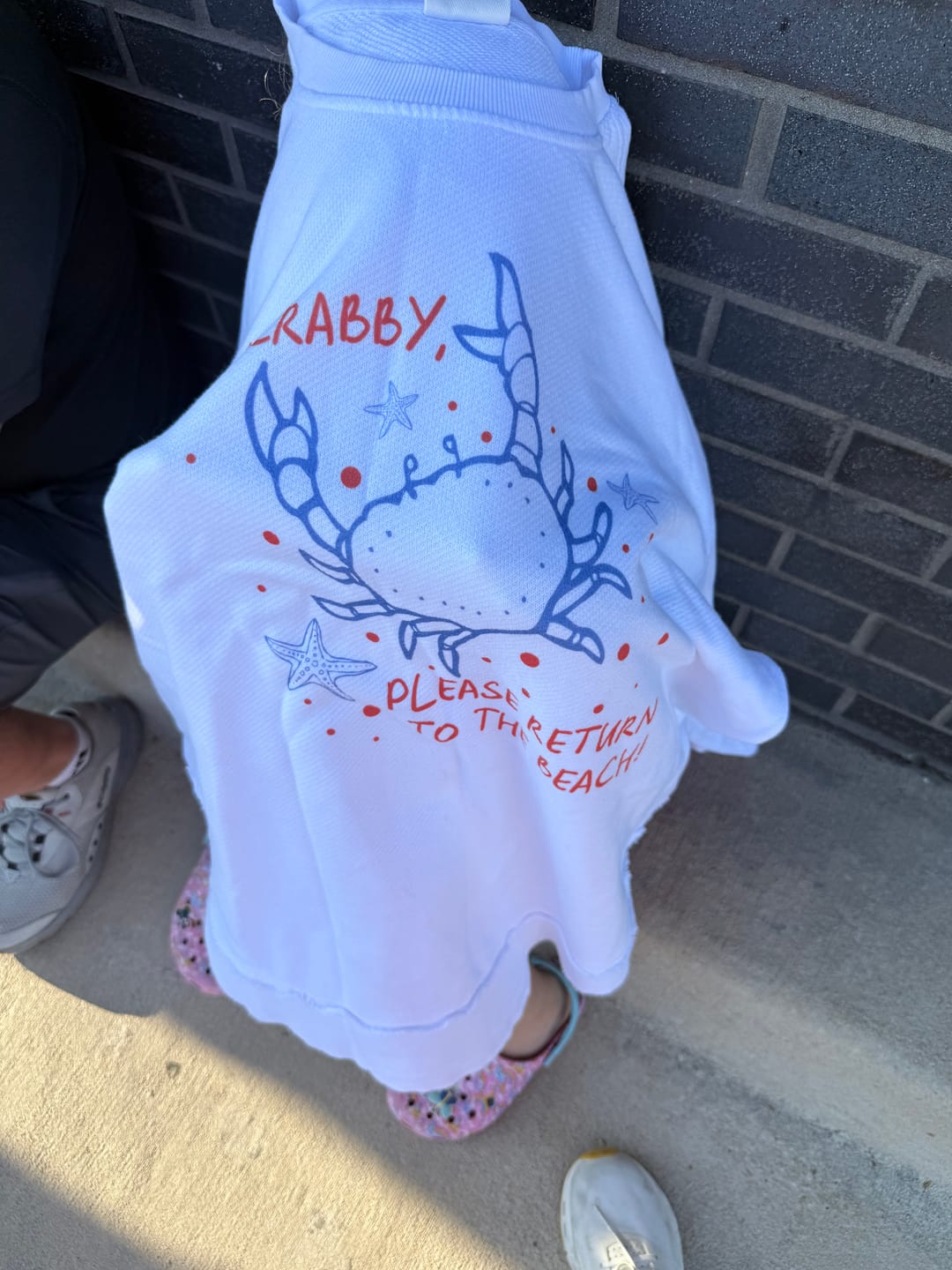 Customer photo review of If Crabby, Please Return To The Beach