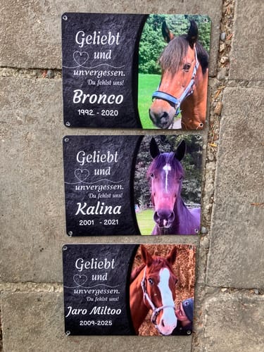 Customer photo review of Pferde Gedenktafel mit Foto & Spruch (UV- & Wetterfest)