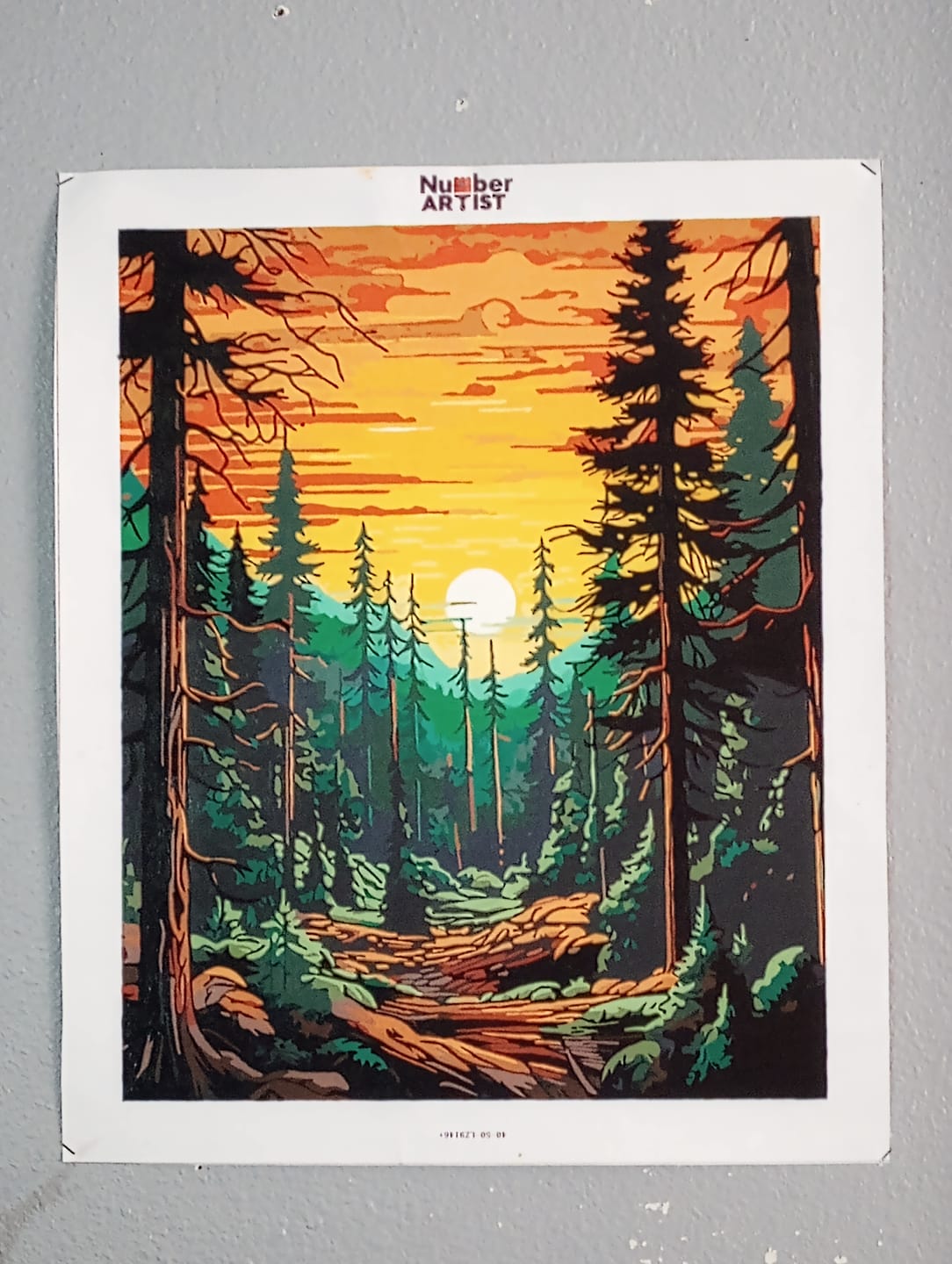 Customer photo review of Tall Trees Forest