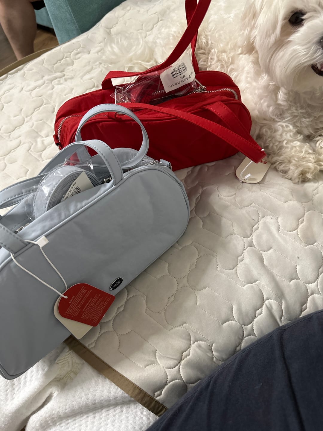Customer photo review of SSFW Coolette Bag (3 colors) Preorder