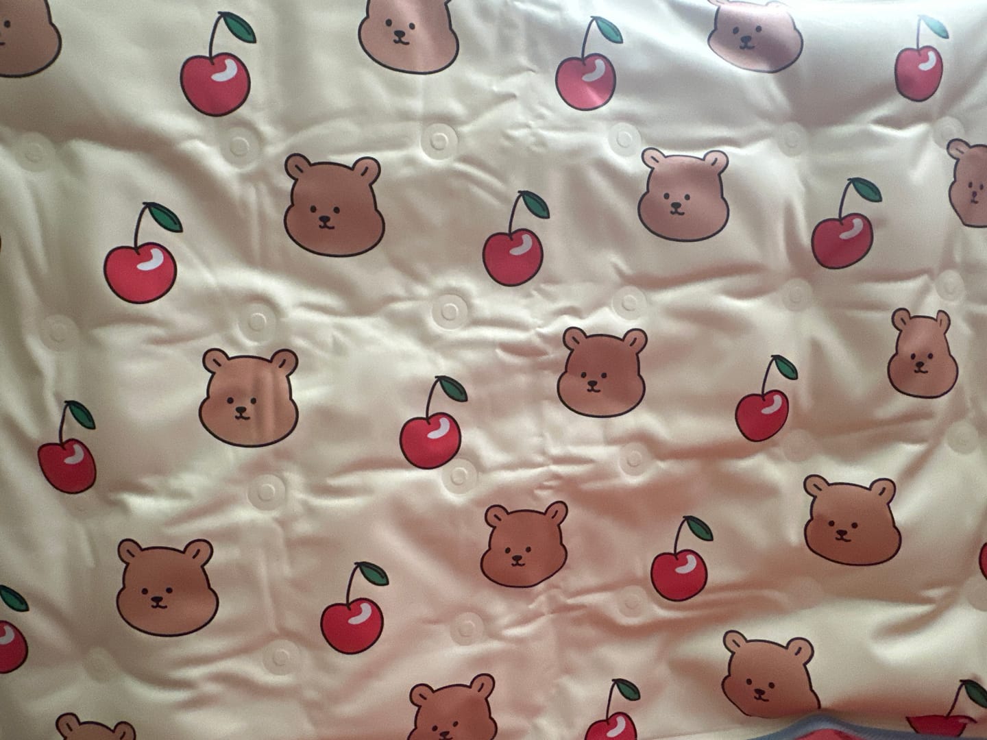Customer photo review of My Buddy Cool Mat (NEW!)