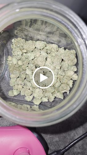 Customer video review of Blue Dream - 28 Grams Littles - Sativa