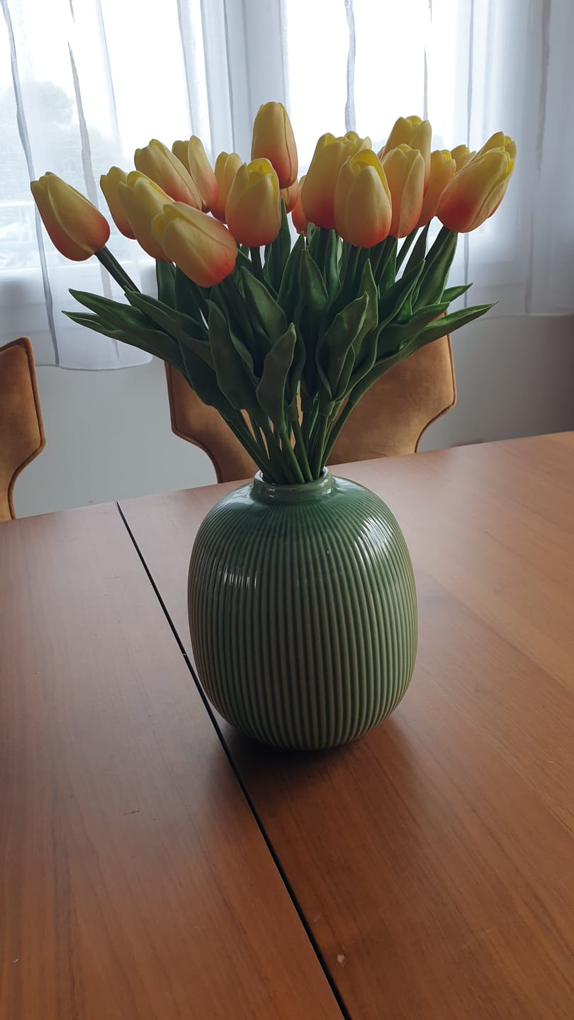 Customer photo review of Tulipes - Pêche (25 Tiges)