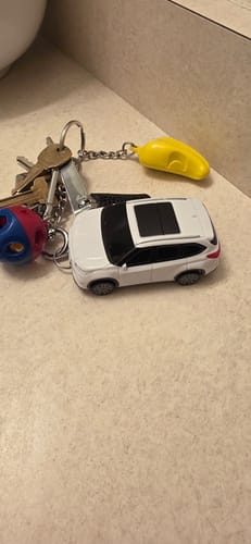 Customer photo review of BlazeGuard Key