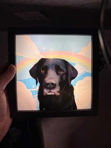 Eileen R. review of Handzeichnung als Datei image 1 out of 1