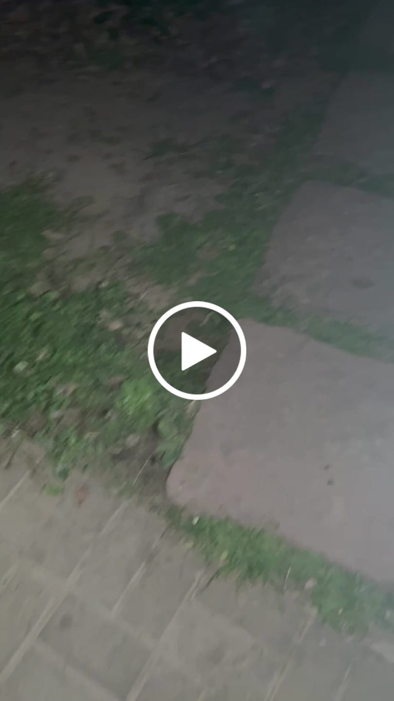 Customer video review of Lumeo Pro BrightBuddy Keychain Light (FREE GIFT)