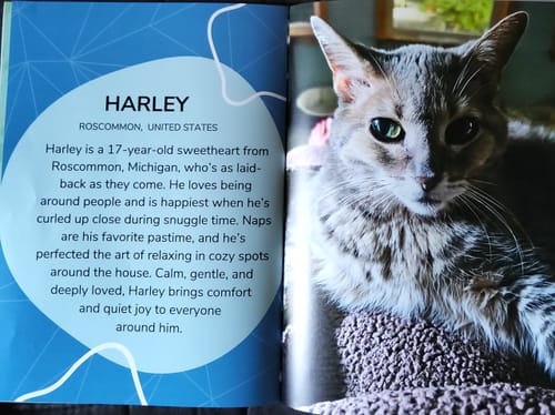 Customer photo review of Cutest Pets of the Month 2025 Photobook