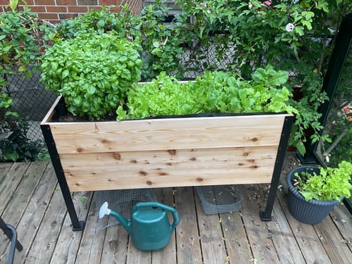 Customer photo review of Platform Feet