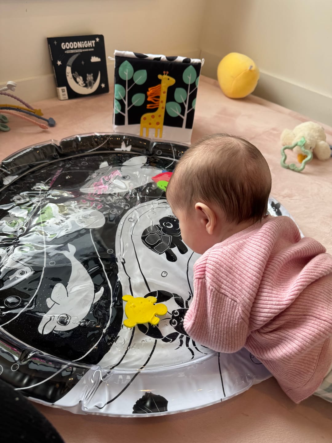 Customer photo review of Under The Sea High Contrast Sensory Water Mat