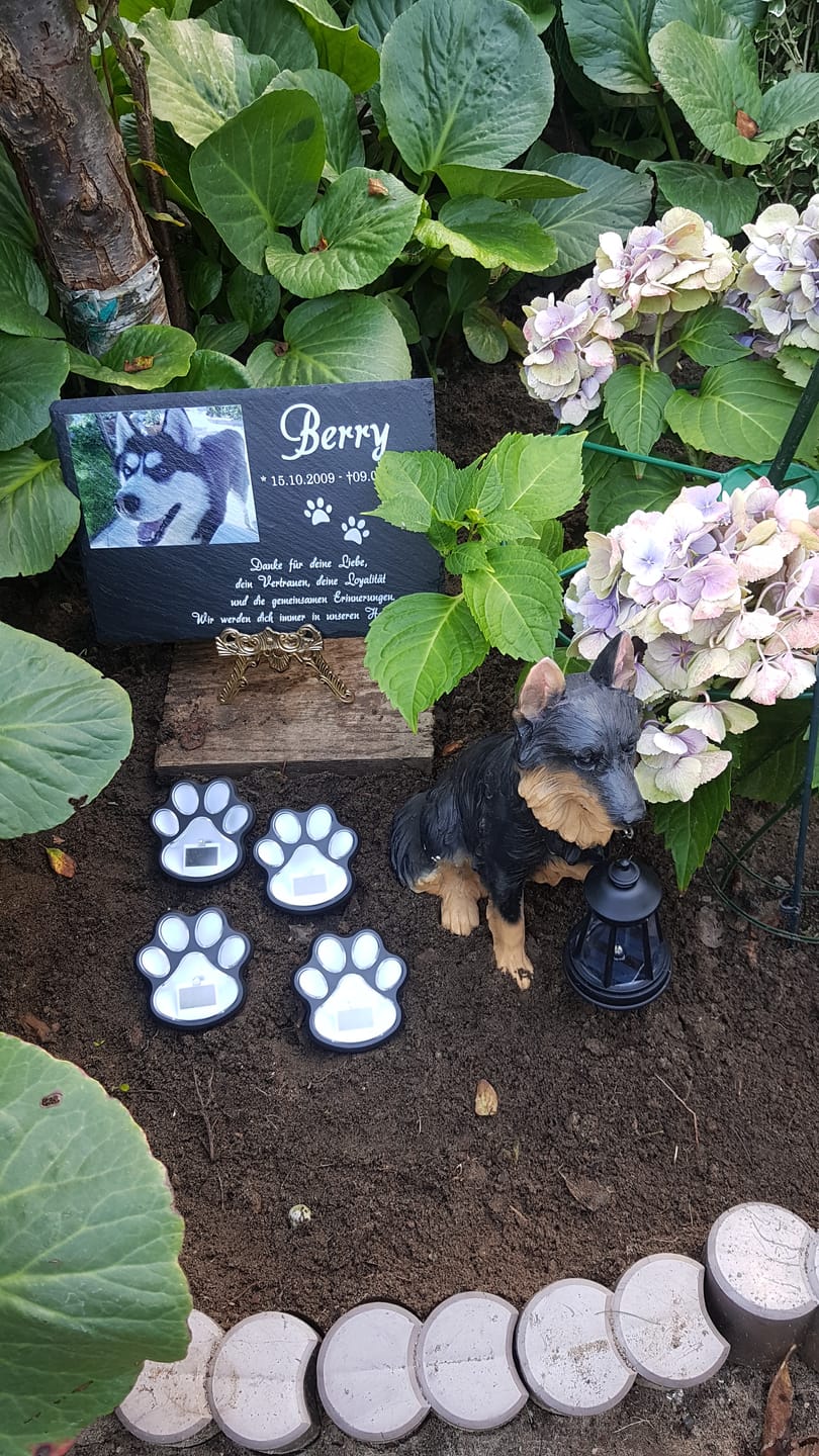 Customer photo review of Hunde Gedenktafel mit Foto & Spruch (UV- & Wetterfest)