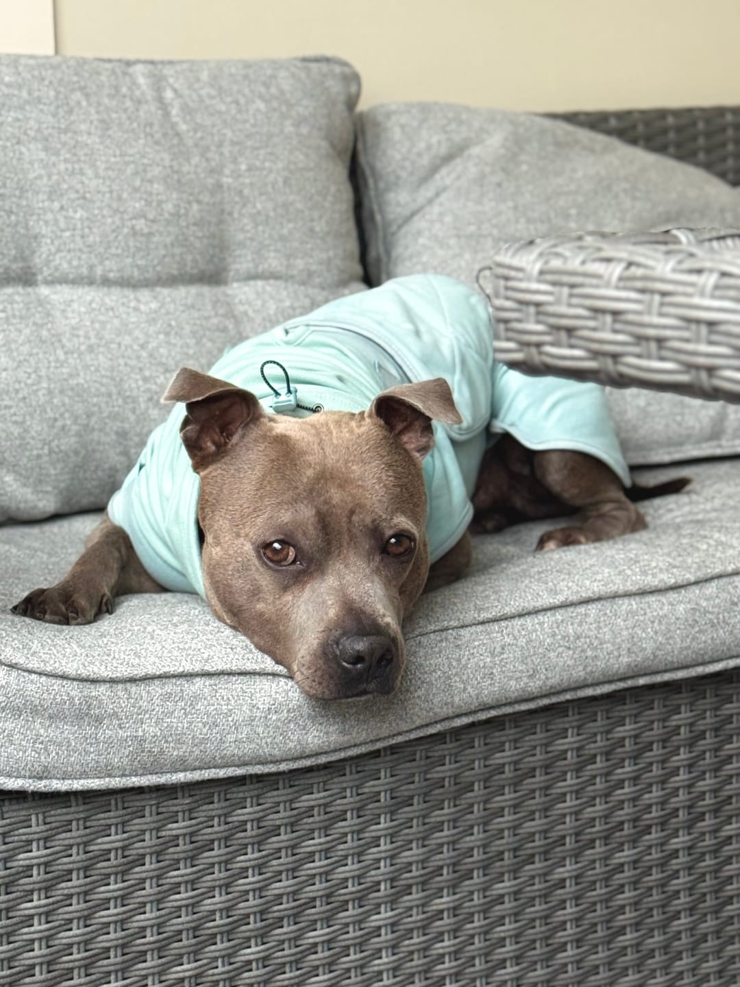 Customer photo review of Anxiety Calming Suit - Teal