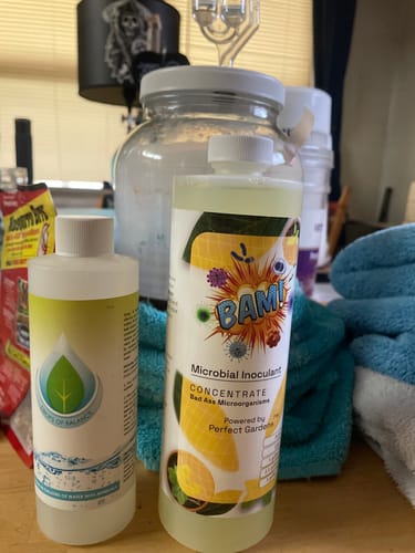 Customer photo review of BAM® Microbial Inoculant, Concentrate