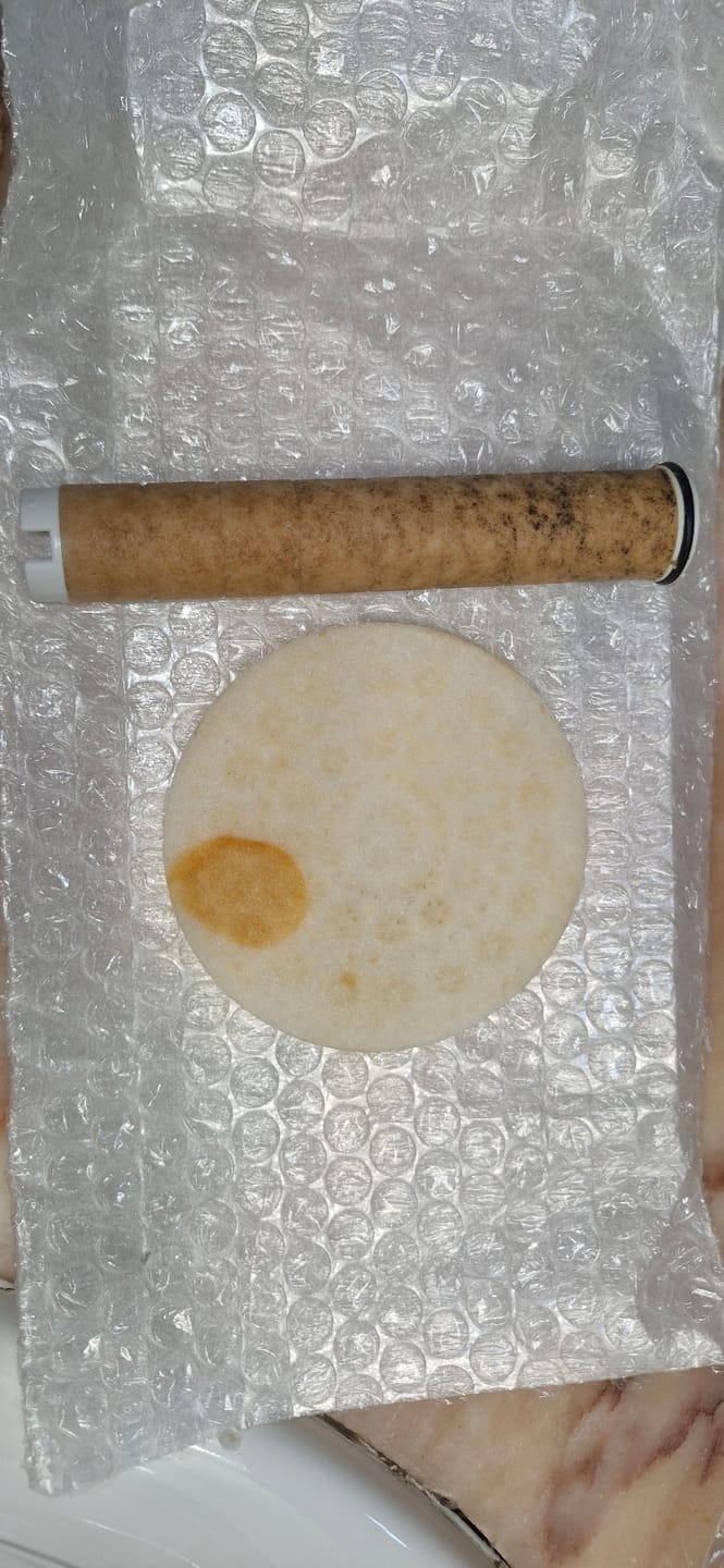 Customer photo review of Filtro de ducha de Vitacare Solutions