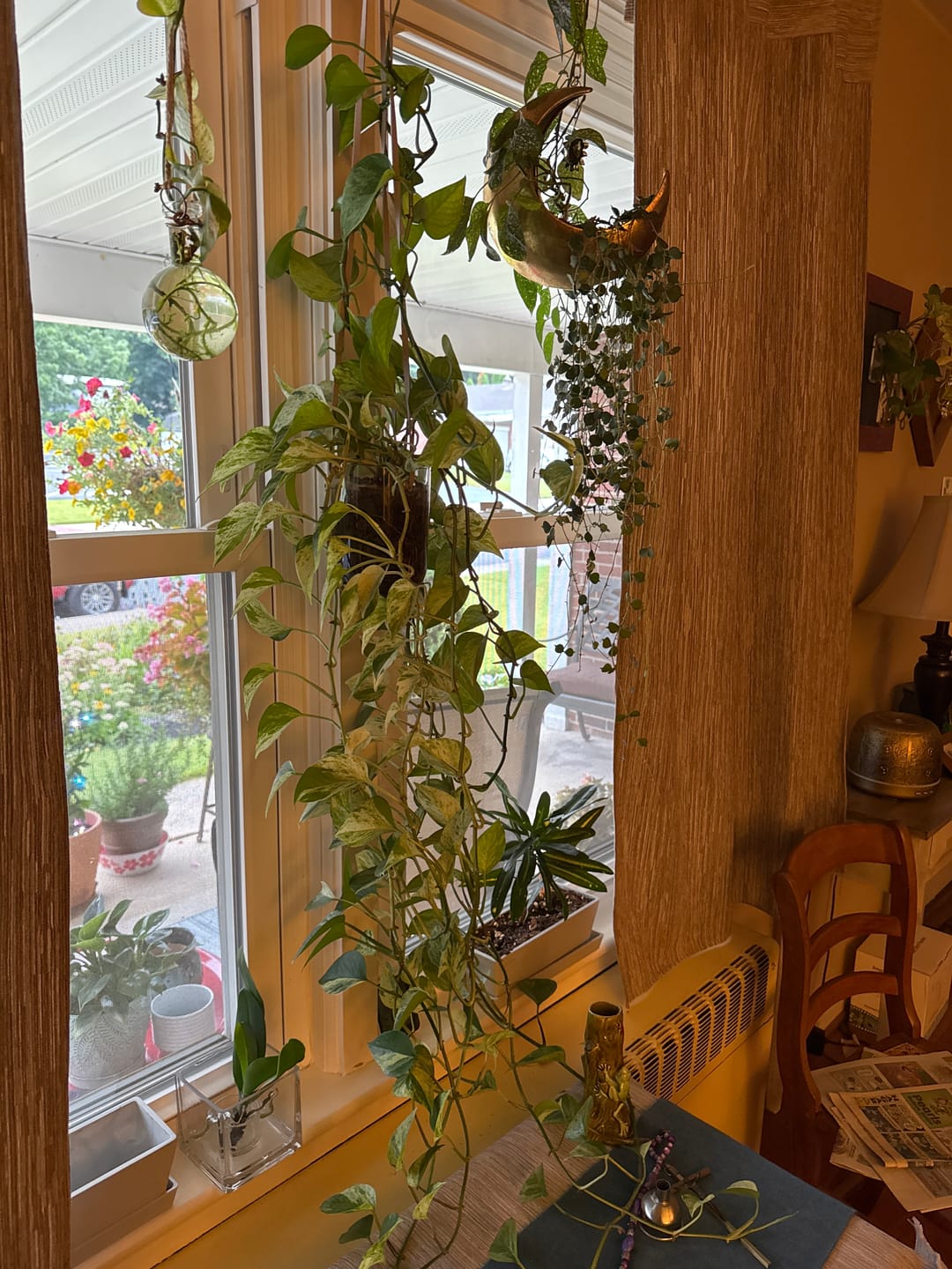 Customer photo review of Happy Happy Houseplant Gift Card