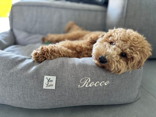 Customer photo review of Divanetto Mattias Grigio Medio (Soft Touch)