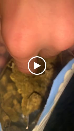 Customer video review of Cheap THCA Flower Ounce