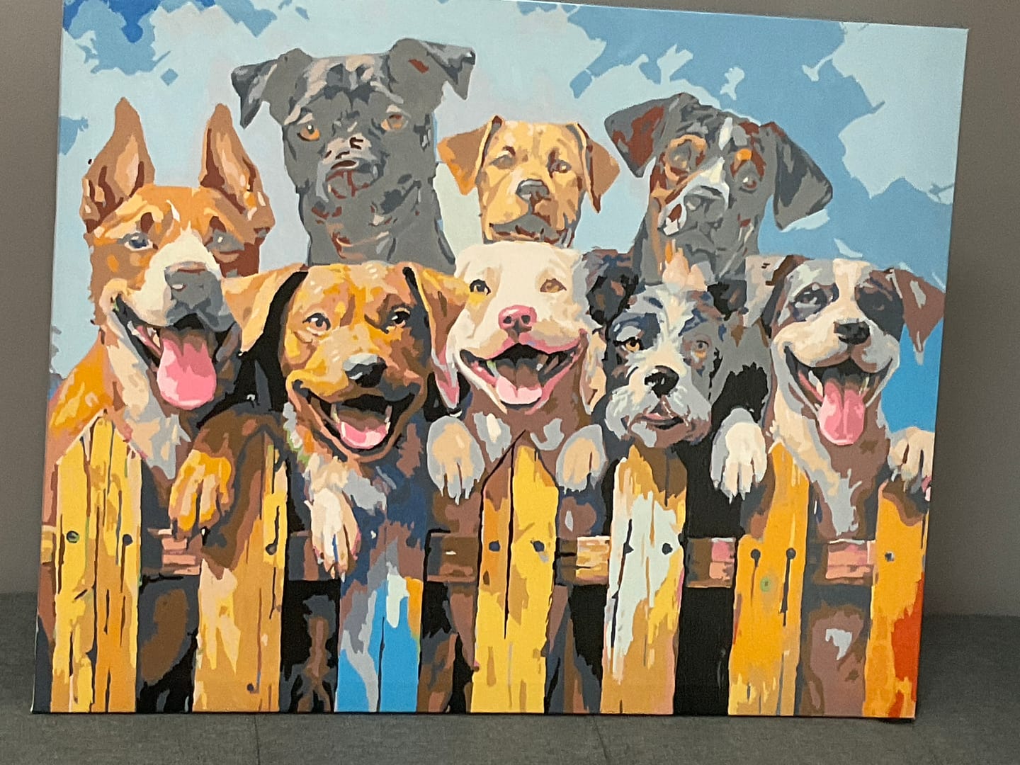 Customer photo review of Dog Days of Summer