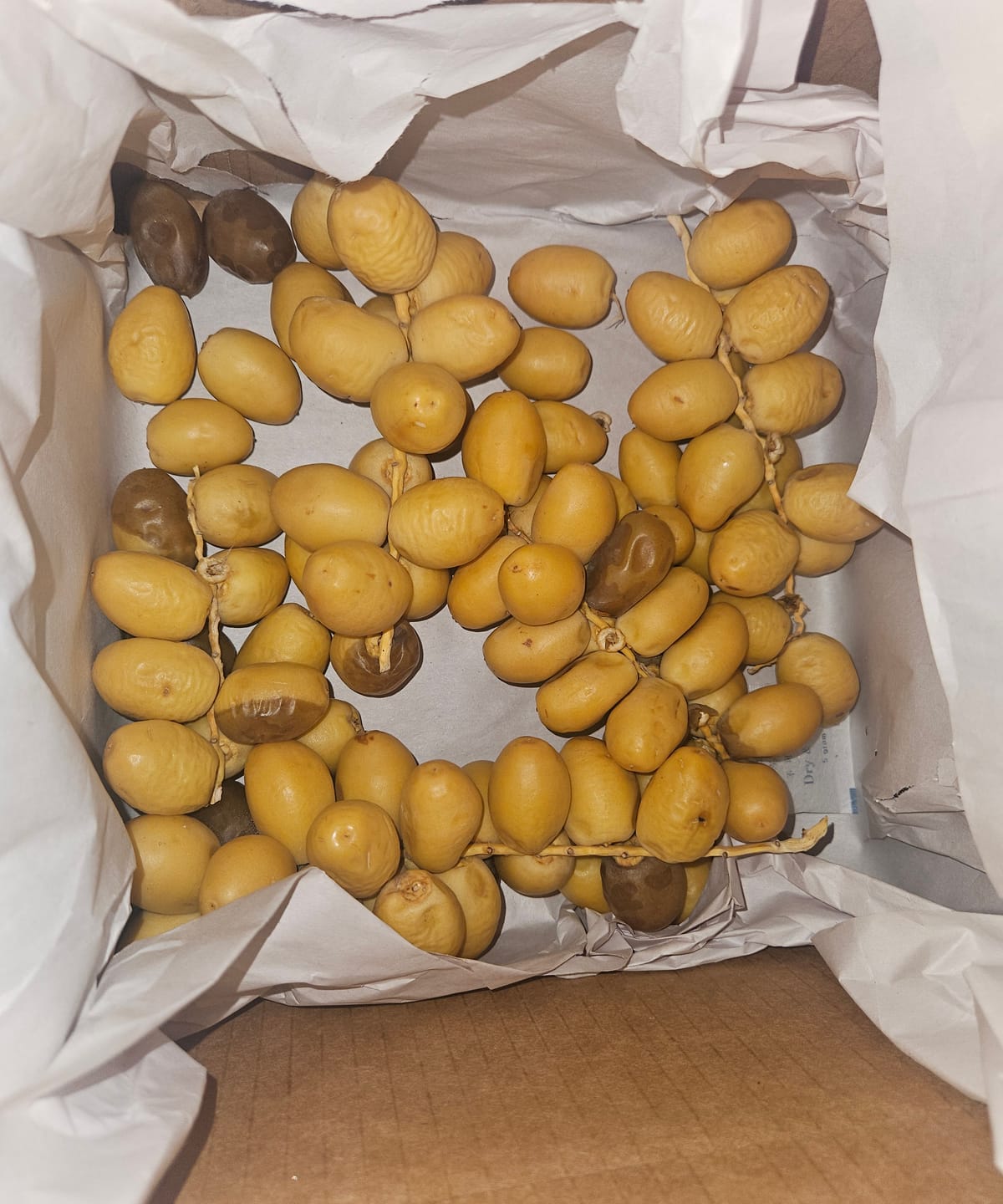 Customer photo review of Organic Yellow Barhi Dates (Khalal Barhi Dates)