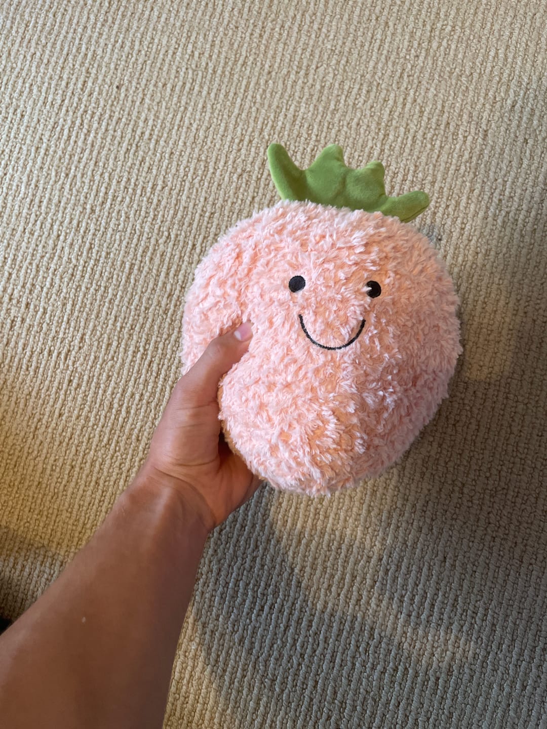 Customer photo review of Happy Fruit & Vegetable Plushie